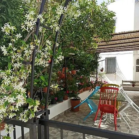 Cozy With Walking Distance To The Beach In Bodrum, Mugla